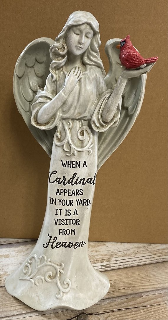 Cardinal is a visitor from Heaven (medium)