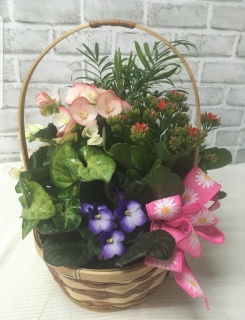 Floral Basket Dish Garden