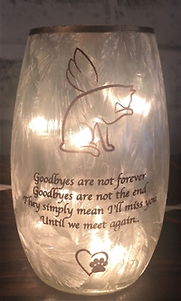 cat sympathy light up vase