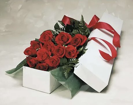 Long Stem Dozen Roses BOXED