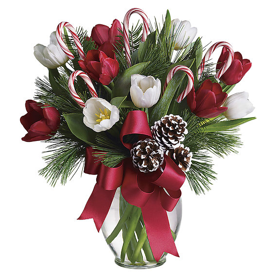 By Golly, It's Jolly