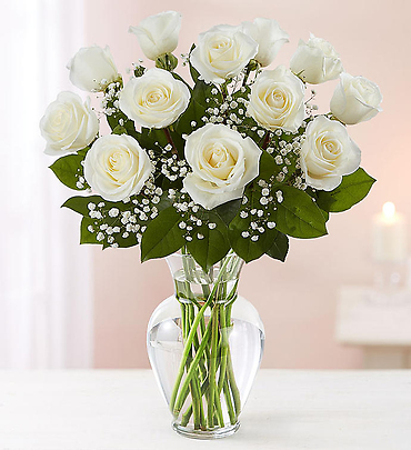 dozen white roses medium stem