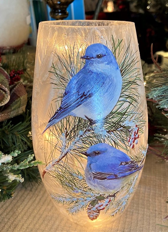 Blue Birds in Winter