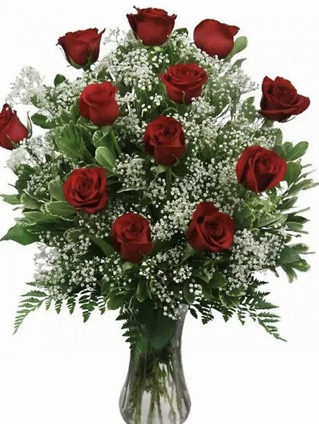 Premium Dozen RED Roses