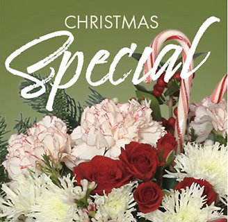 Christmas Special Designer Choice