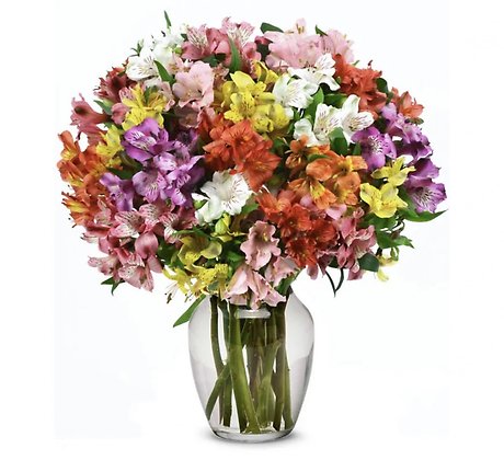 Kaleidoscope of Color