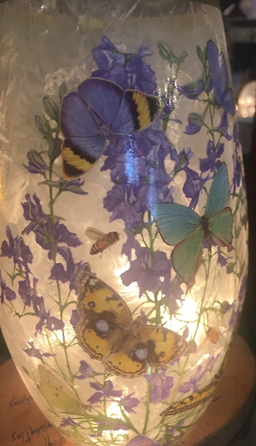 delphiniums and butterflies light up