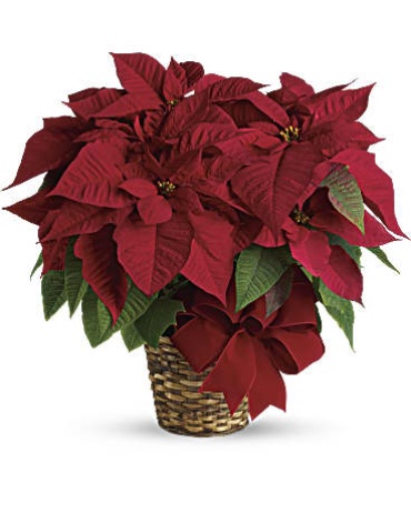 The Red Poinsettia Basket (Large)