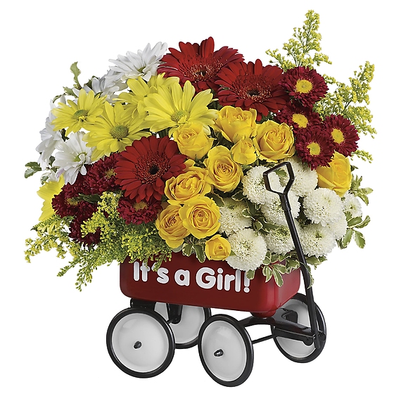 Baby's Wow Wagon - Girl