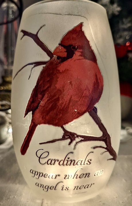 Cardinals appear when angels are near
