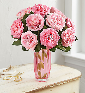Garden Roses