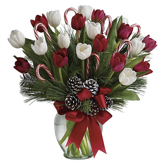 By Golly, It's Jolly