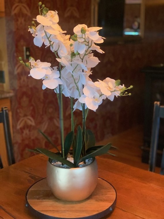 Real Feel White Silk Orchid