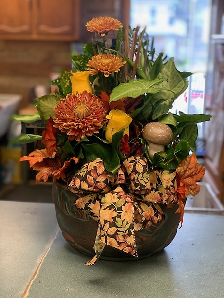 10\" Ceramic Dish Garden