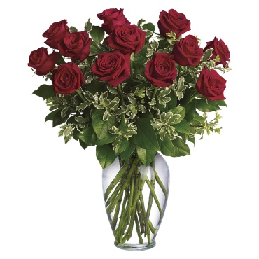 Long Stemmed Red Roses