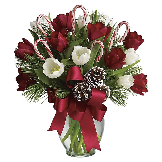 By Golly, It's Jolly