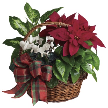 Holiday Homecoming Basket