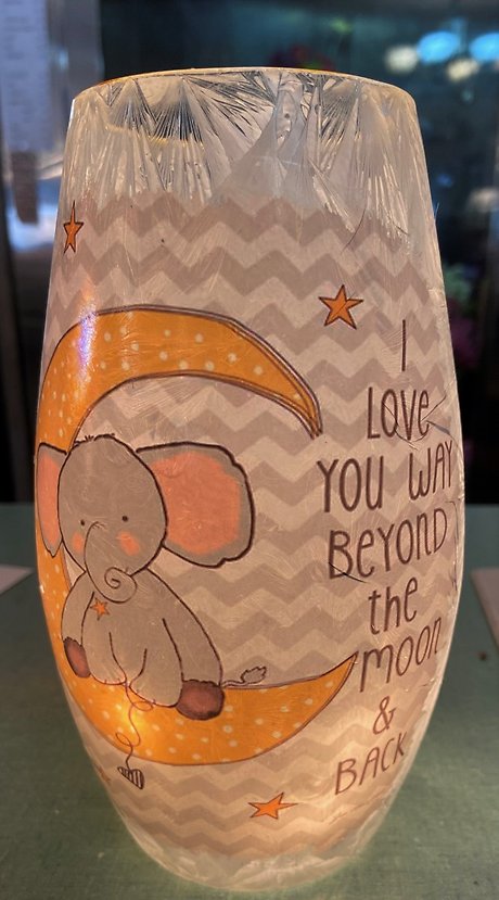 Love to the Moon and Back